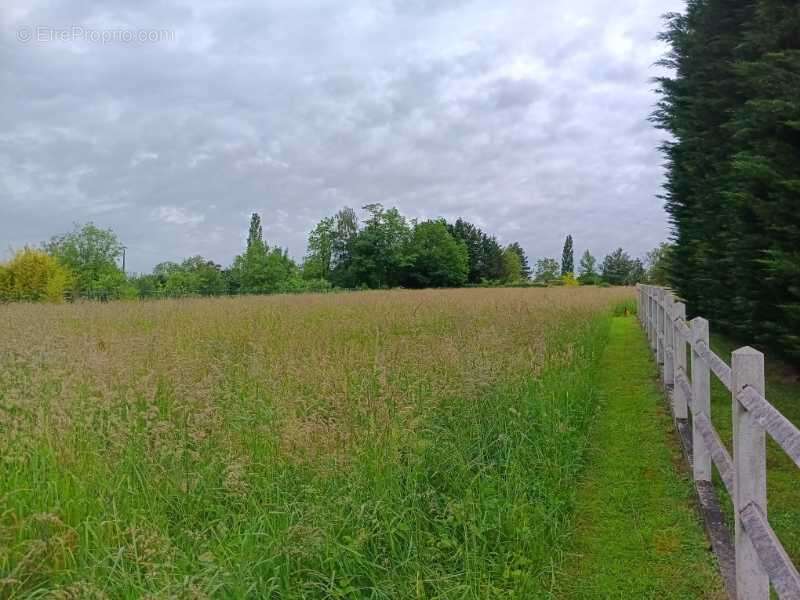 Terrain à VINCELLES