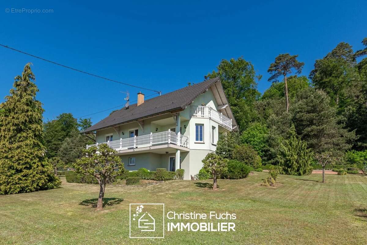 Maison à WIMMENAU