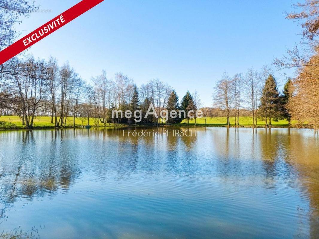 Terrain à DANNEMARIE