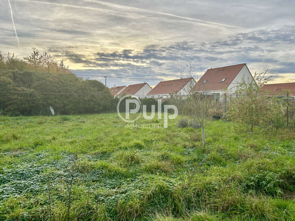 Terrain à MAZINGARBE