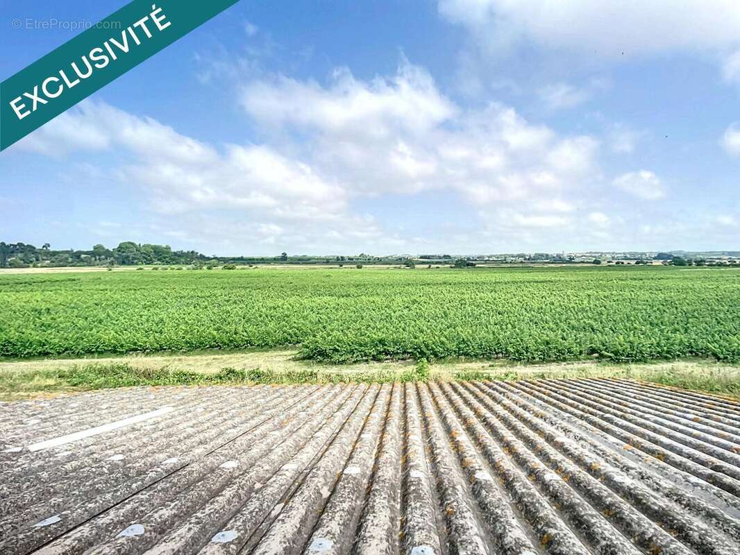 Photo 2 - Maison à MONTADY