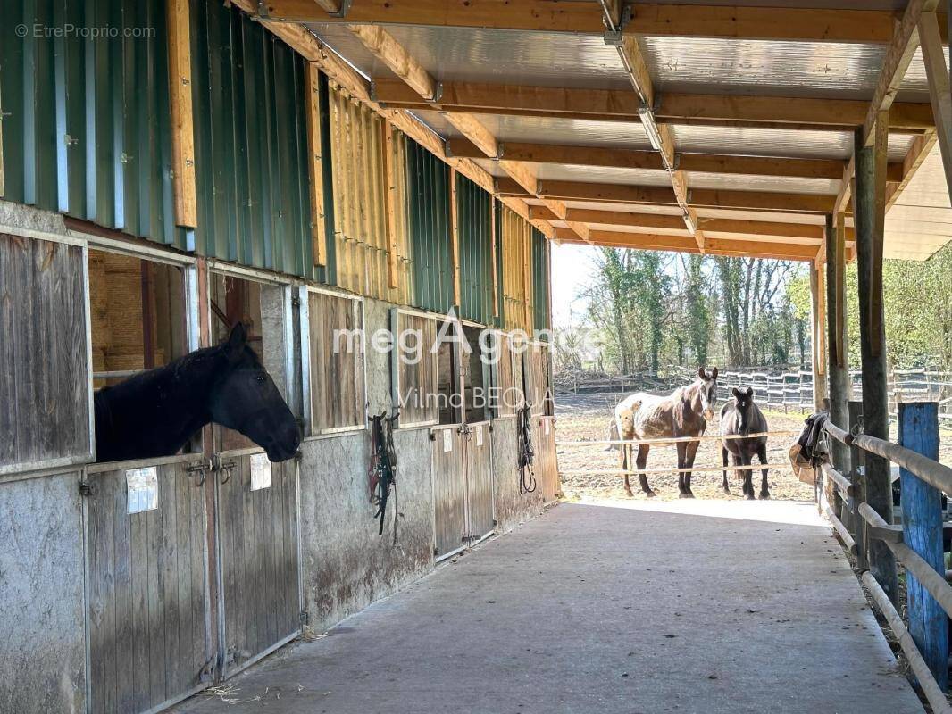 Maison à THORIGNY-SUR-OREUSE