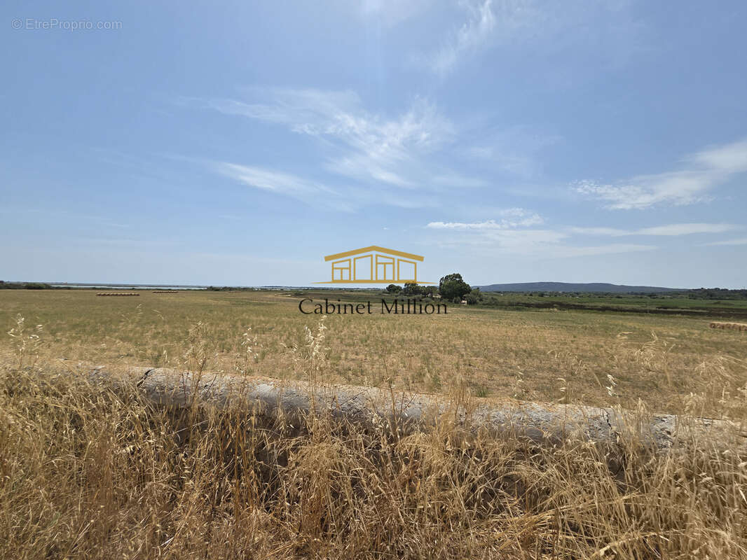 Domaine  d'exception aux portes de montpellier - photo 24
