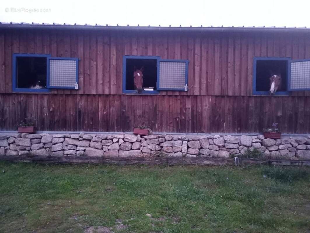Propriete à vendre 5 pièces ARCONSAT (63) - photo 13