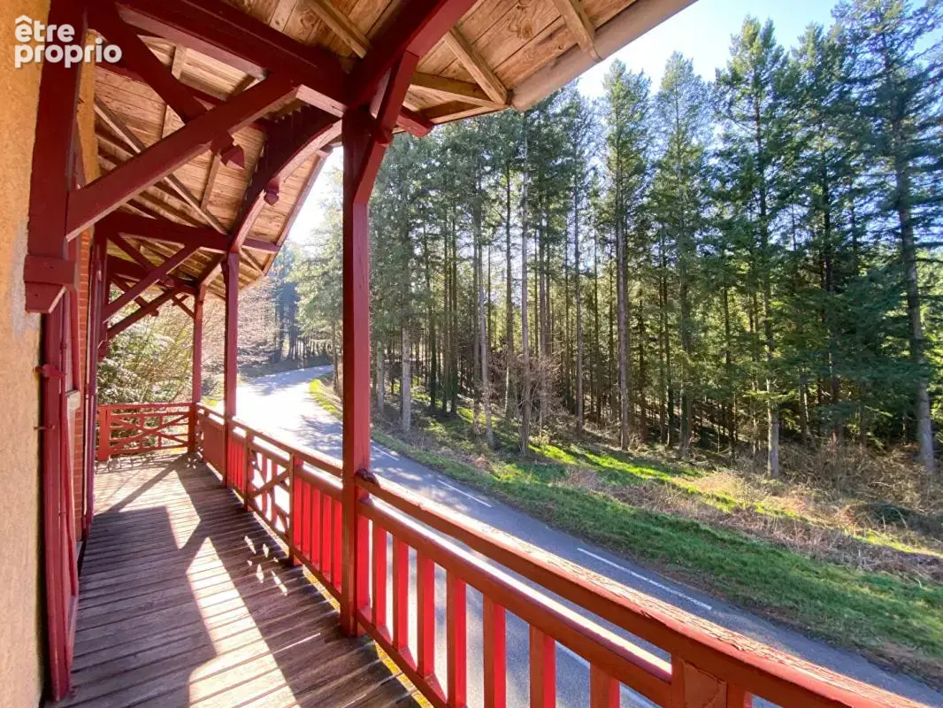 RONNO - Maison ancienne au coeur de la forêt  - 3 chambres /2500 m2 de terrain/ grange - - photo 8