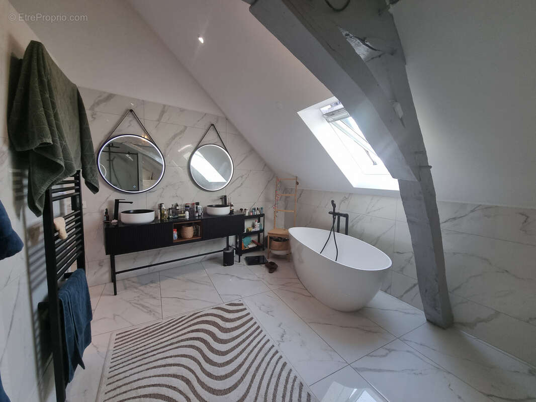 Maison à LA CHAPELLE-SAINT-MESMIN