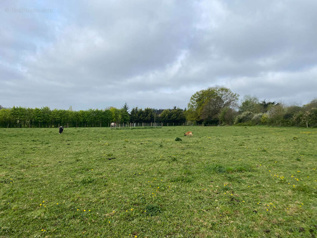 Maison à BAIN-DE-BRETAGNE