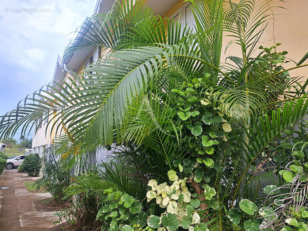 Appartement à LE VAUCLIN