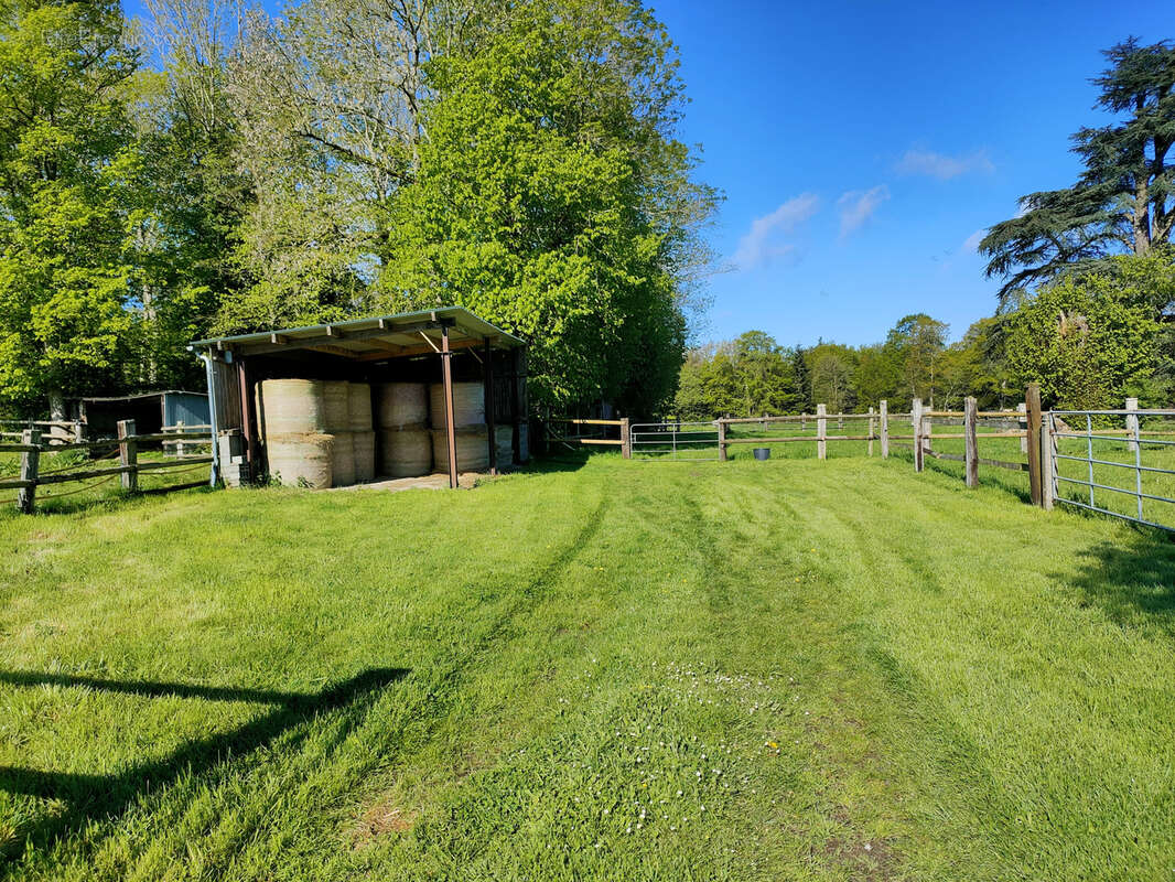 Propriété équestre avec 13 hectares - photo 36