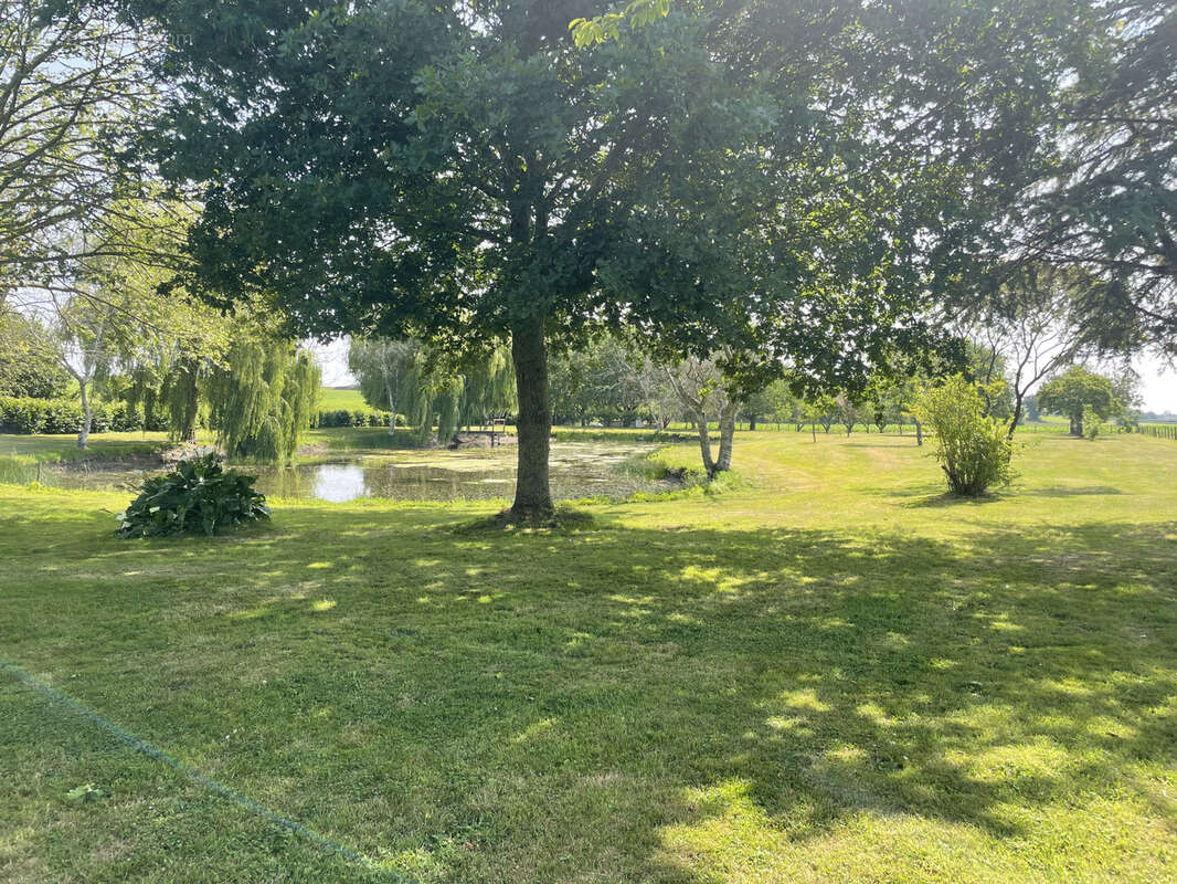 Terrain à LA GUERCHE-DE-BRETAGNE