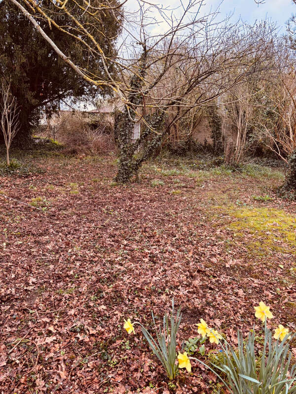 Terrain à JONCHERY-SUR-VESLE