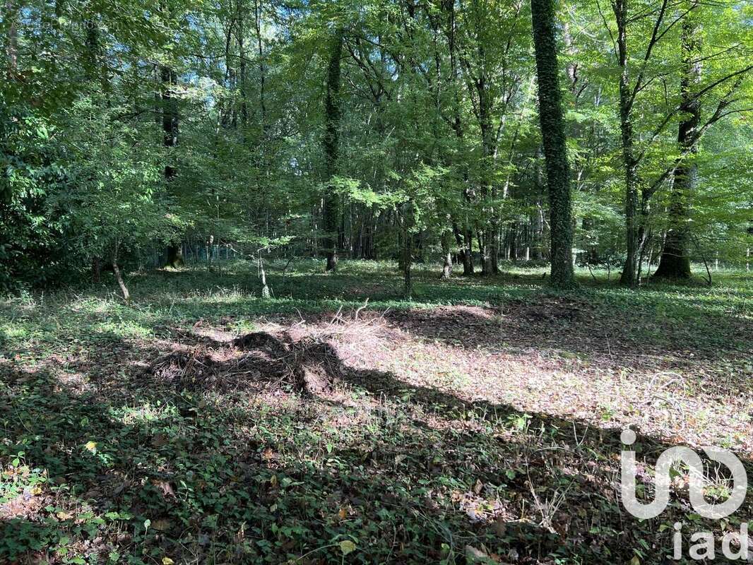 Photo 2 - Terrain à SAINT-HILAIRE-LES-ANDRESIS