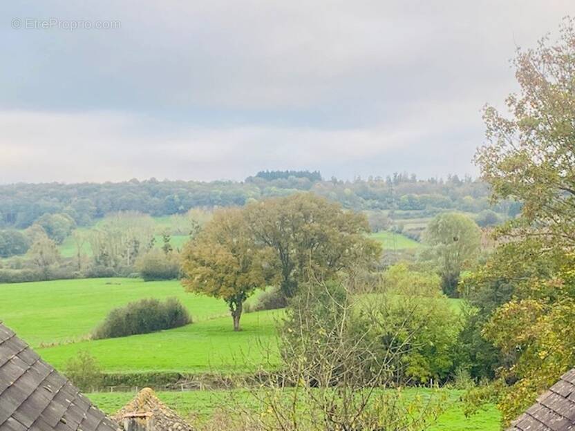 Commerce à LE THEIL