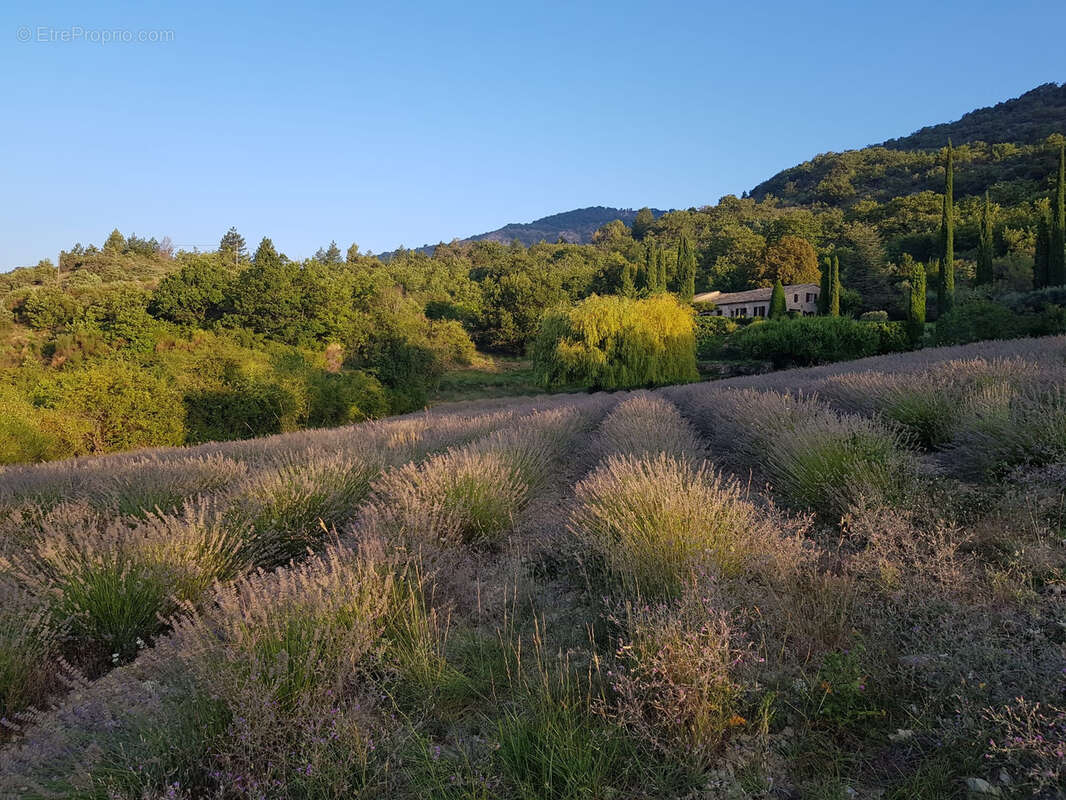 Maison à VAISON-LA-ROMAINE