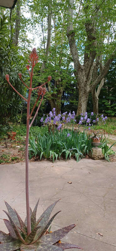 Maison à PIERRELATTE