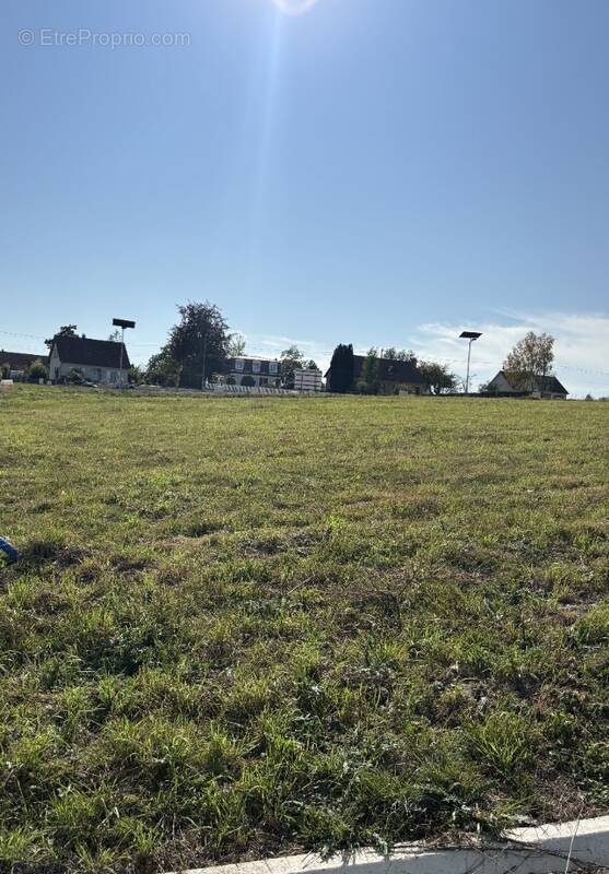 Terrain à AILLY-SUR-SOMME