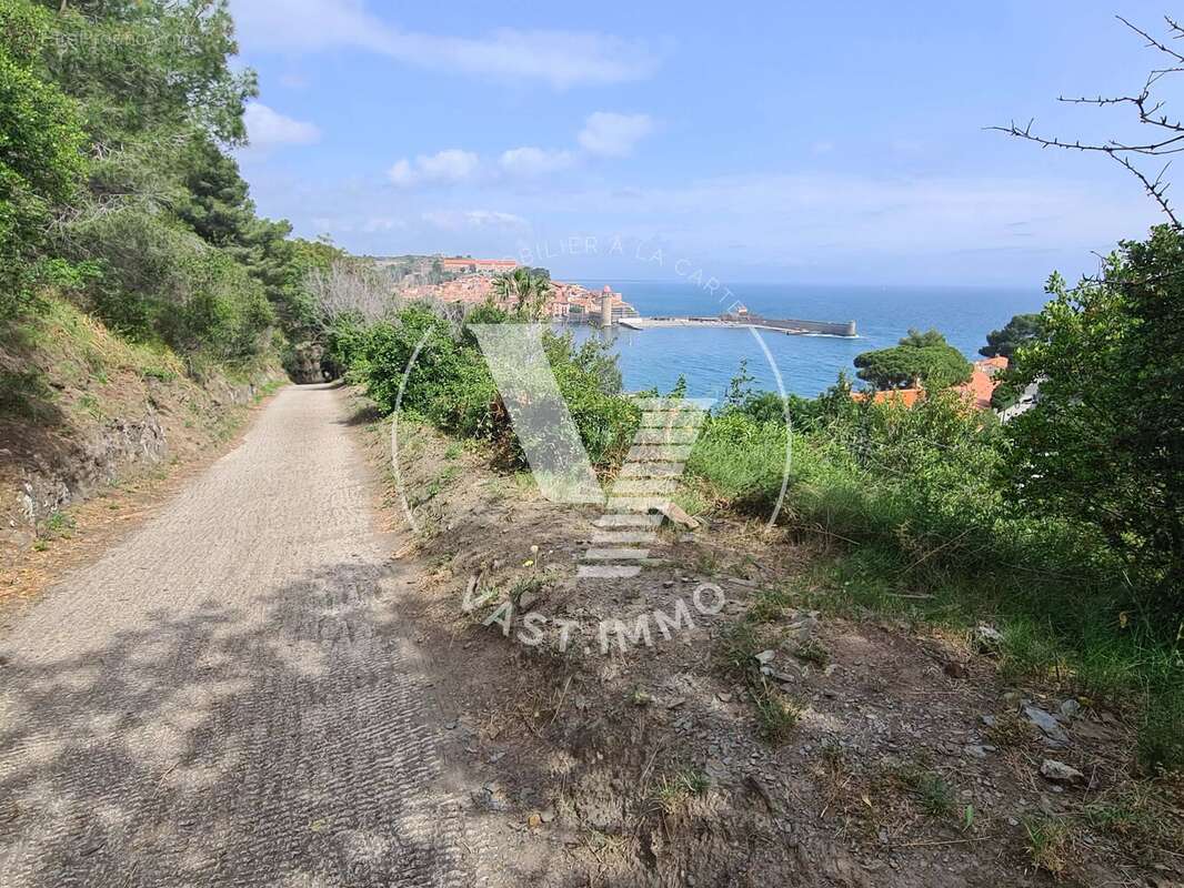Appartement à COLLIOURE