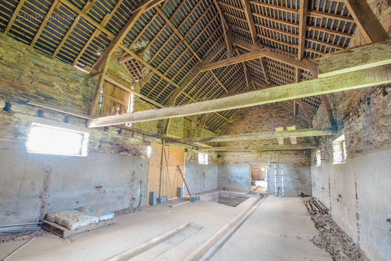 Ensemble en pierre à rénover – 340 m² de potentiel habitable – Hangar 223 m² – Terrain 3 109 m² - photo 3