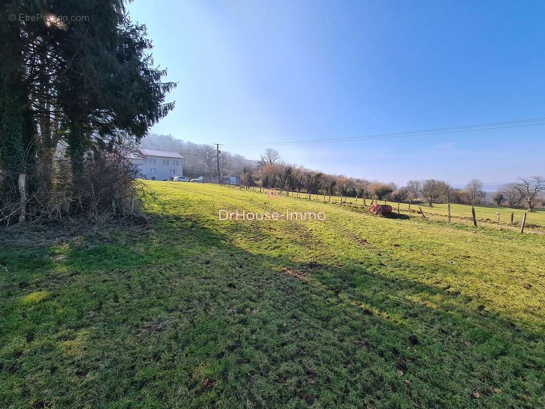 Terrain à SAINT-GEORGES-ARMONT