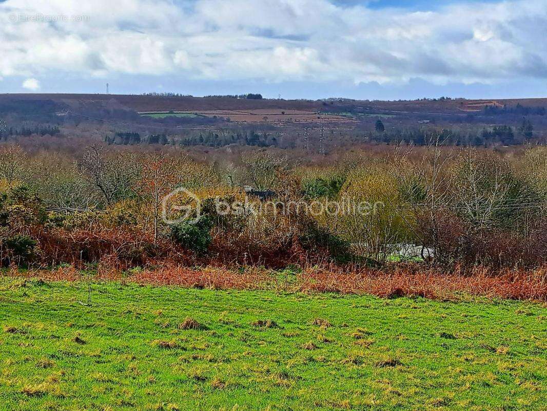 Terrain à BRENNILIS