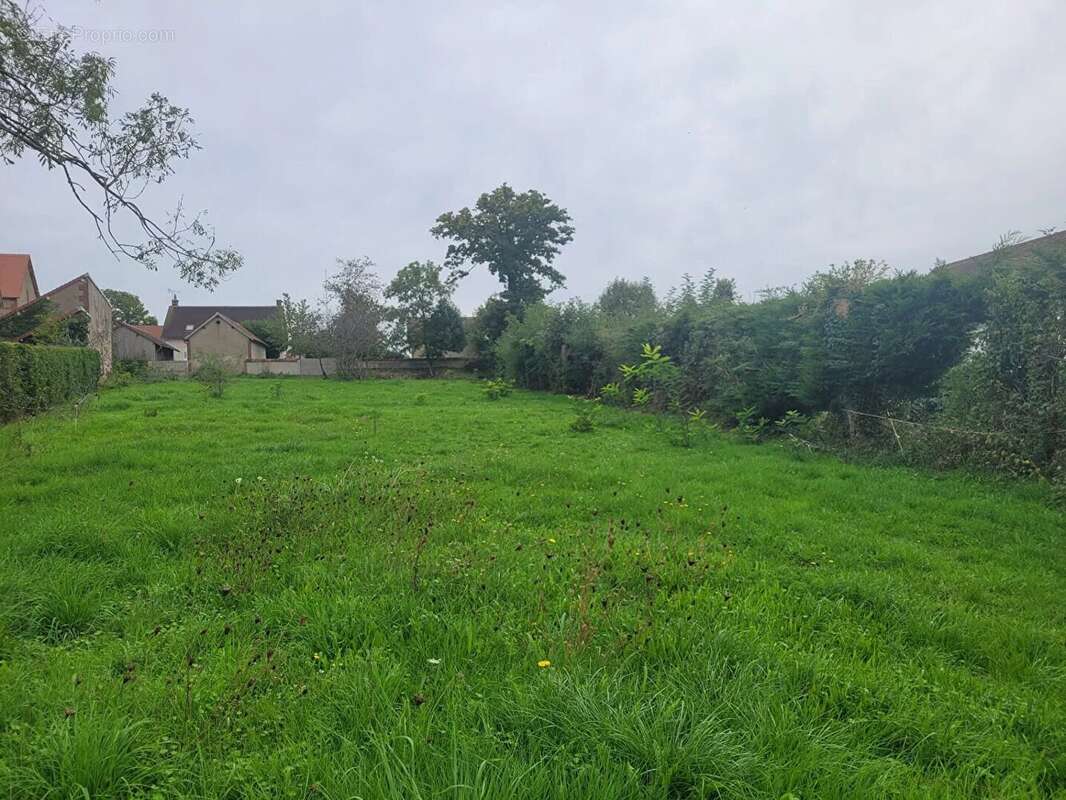 Terrain à LE THEIL
