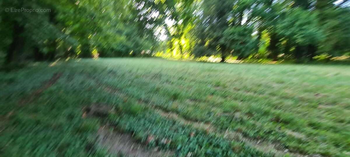 20 minutes de dijon - rare a la vente - terrain de 1ha15ares et 45ca - photo 2