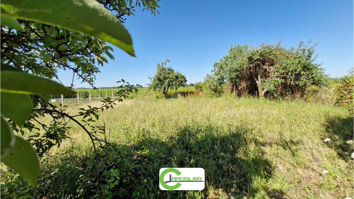 Proche la ferte-bernard - photo 9