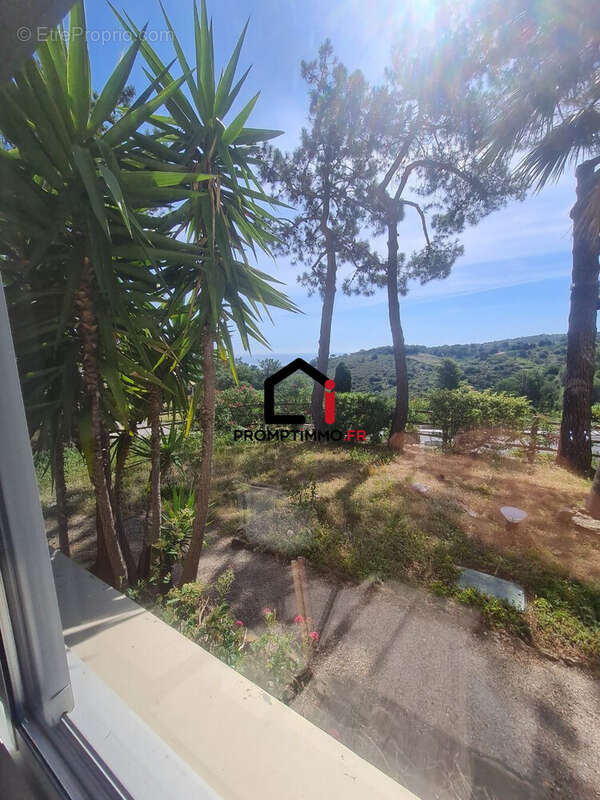 Appartement à BANYULS-SUR-MER