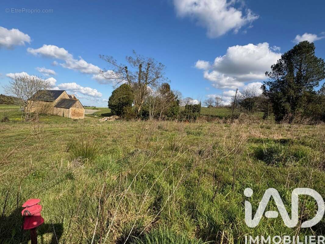 Photo 4 - Terrain à CAOUENNEC-LANVEZEAC