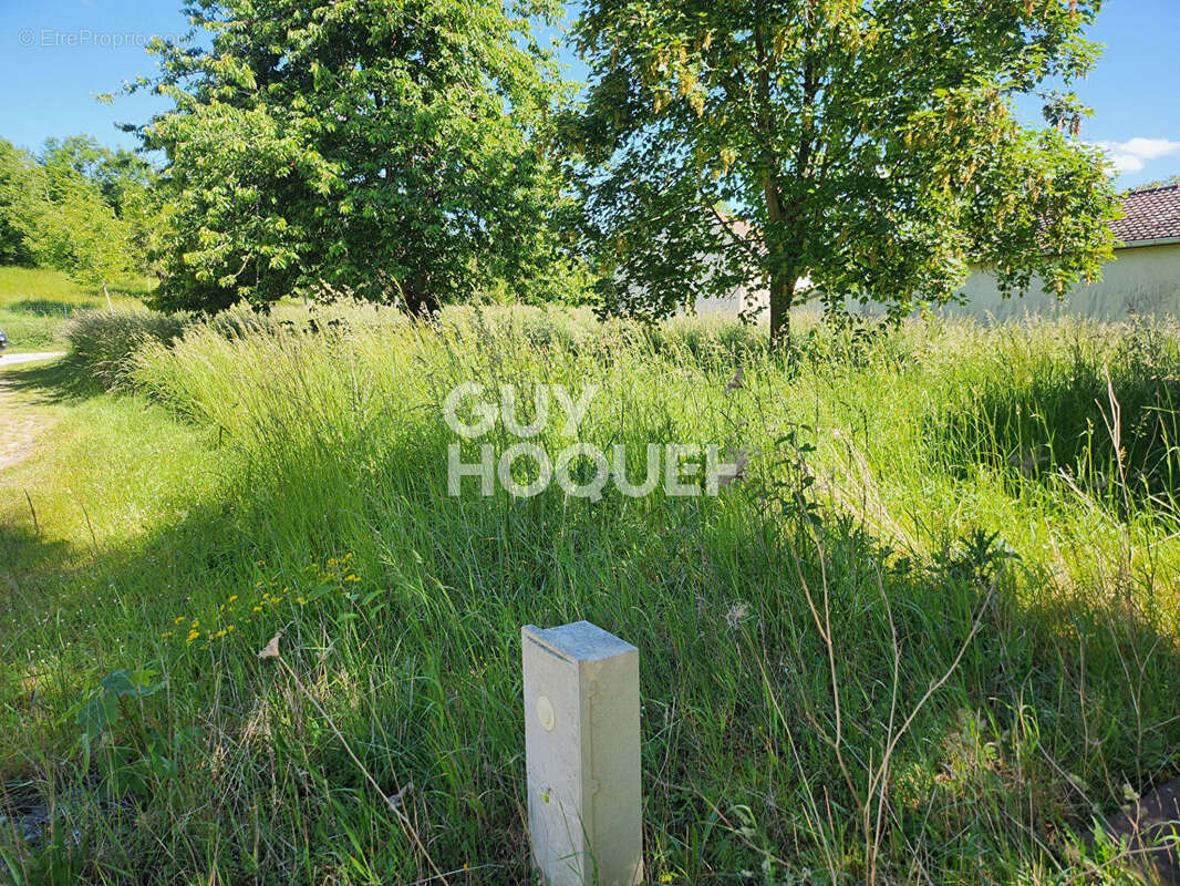 Terrain à VILLENAUXE-LA-GRANDE