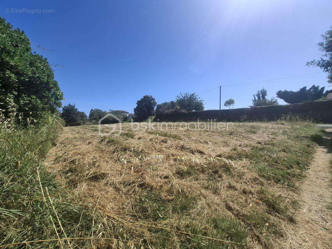 Terrain à bâtir de 1 229 m² à Doulezon (33350) - photo 2