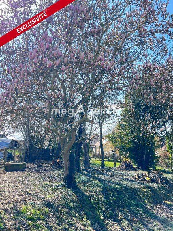 Maison à BEAUMONT-SUR-SARTHE