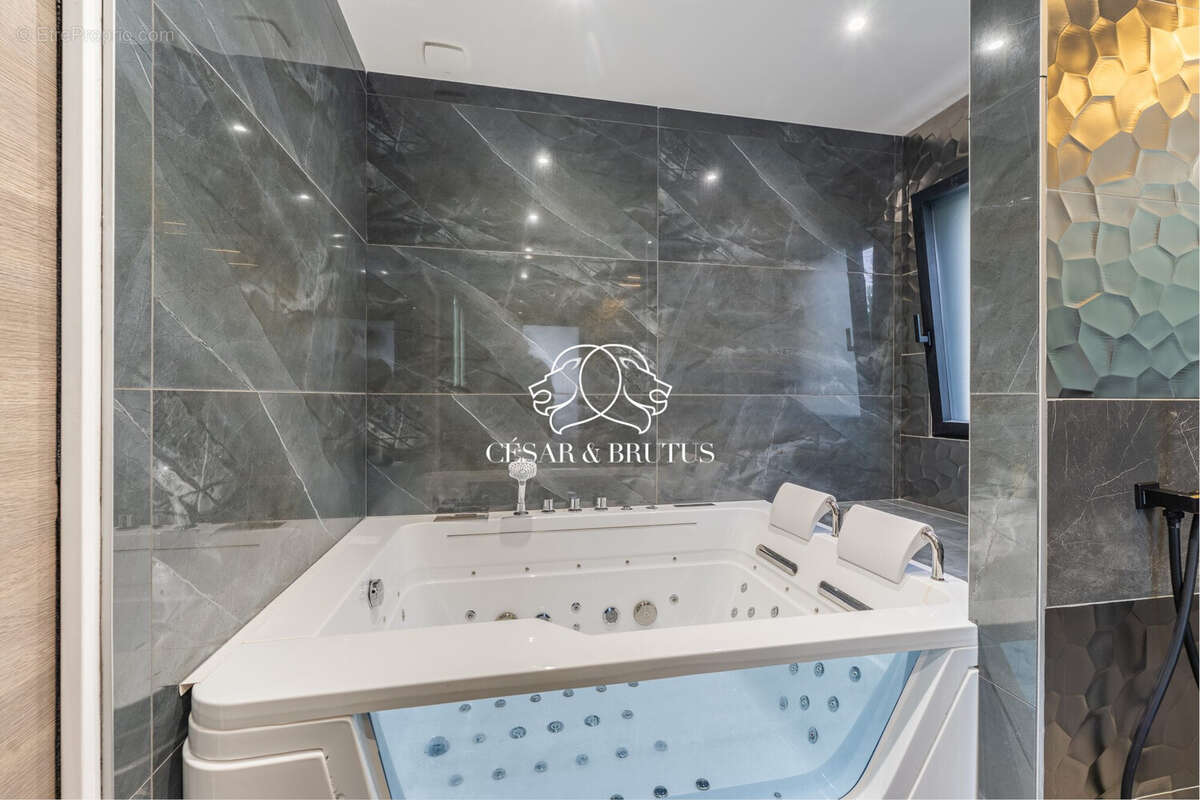 Maison à SATOLAS-ET-BONCE