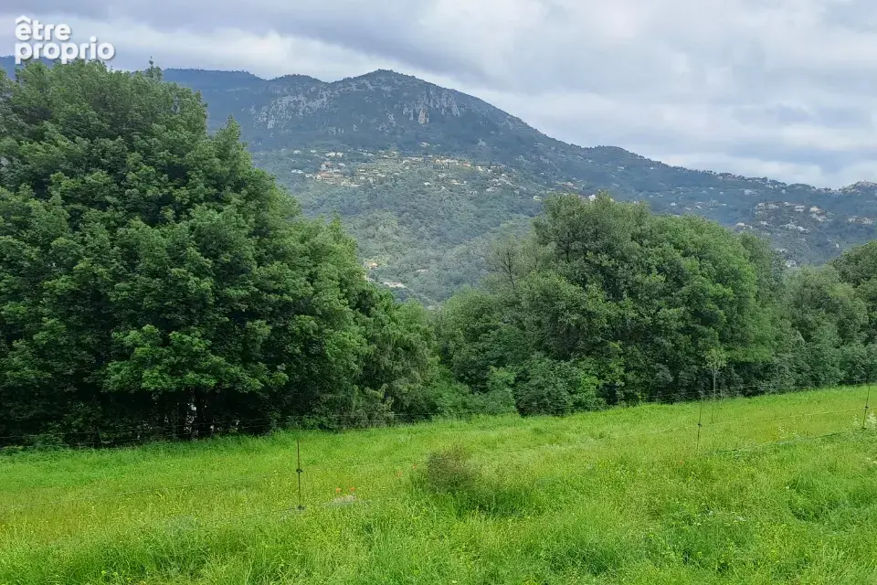 Terrain 800 m² à vendre à Carros (06510) - photo 3
