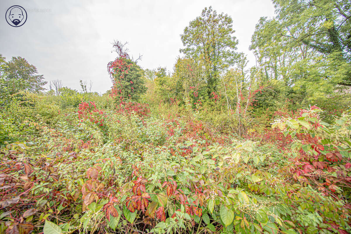 Terrain à VAUCOULEURS