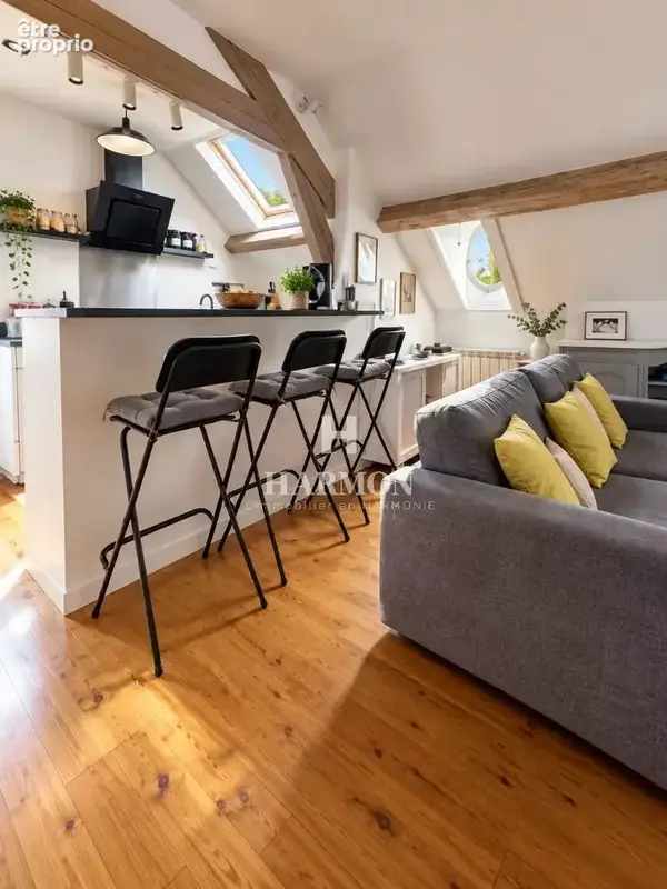 HARMON A VENDRE : Appartement de charme avec deux grandes terrasses à Salies-de-Béarn - photo 9