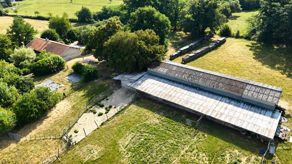 01160 LA TRANCLIÈRE   Propriété de 8 Ha - 1 ferme d’habitation - 1 gîte - 1 hangar   1 pièce d’eau - photo 3