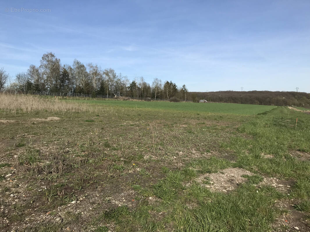 Terrain à ERNESTVILLER