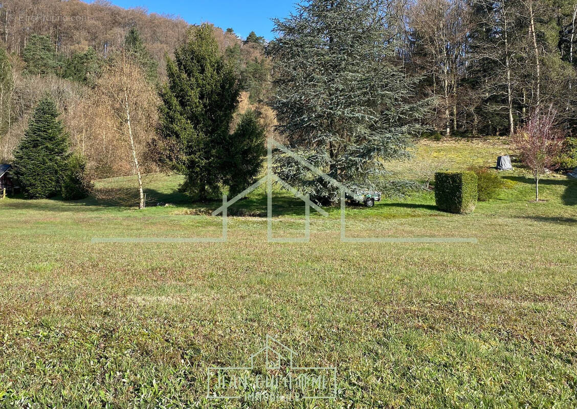 Terrain à SAINT-NABORD