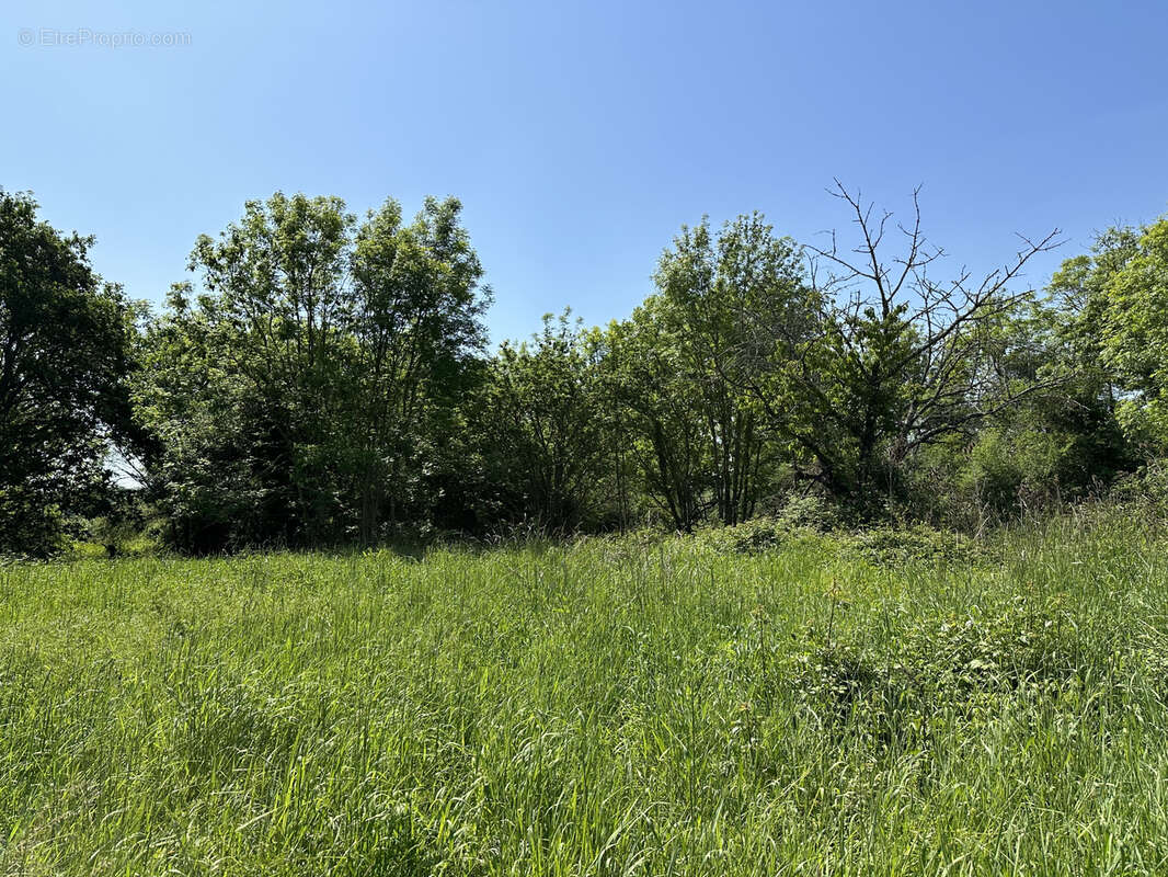 Maison de campagne ! - photo 26