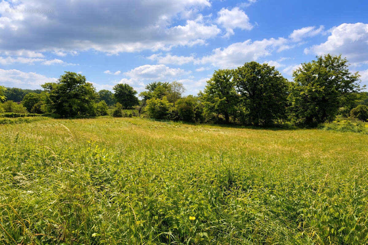 Maison à SAINT-MAUR