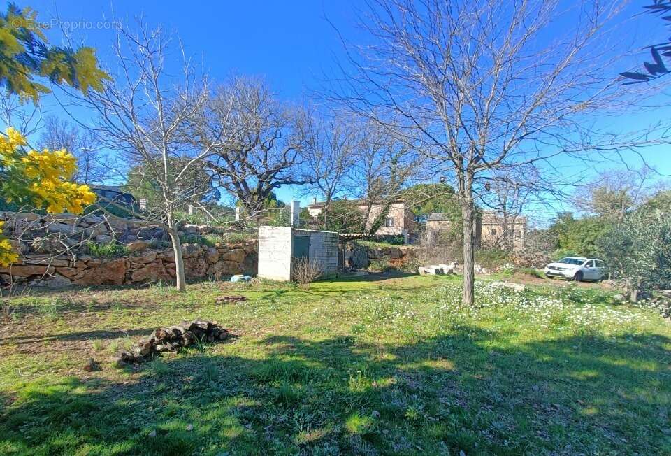 Terrain à LE THORONET