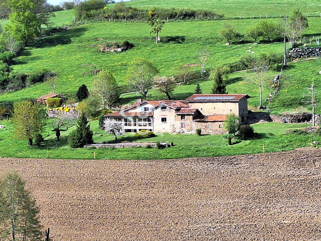 Maison à SAINT-MARTIN-EN-HAUT