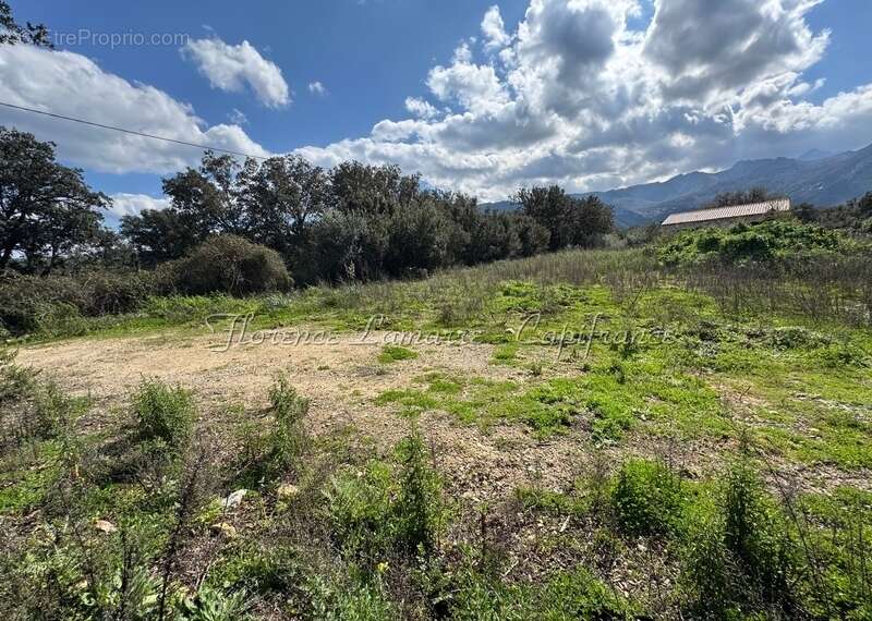Terrain à SPELONCATO