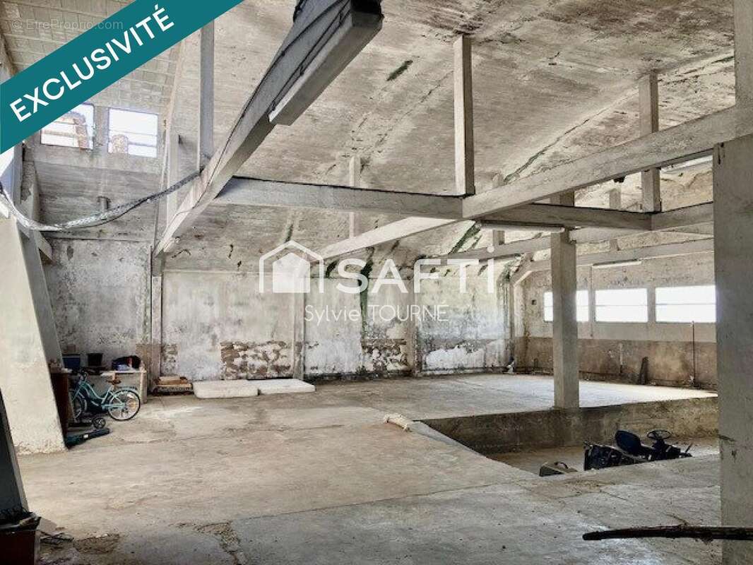 Maison 280 m² à Castelnau-D'auzan  - photo 3
