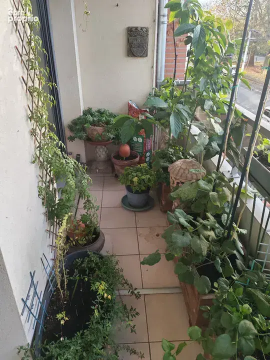 Appartement 3 pièces 67 m² à vendre à Toulouse (31400) - photo 6