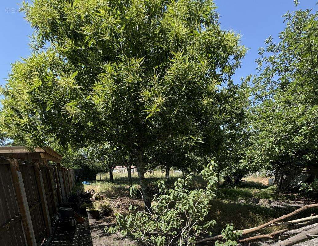 Terrain à BLANQUEFORT