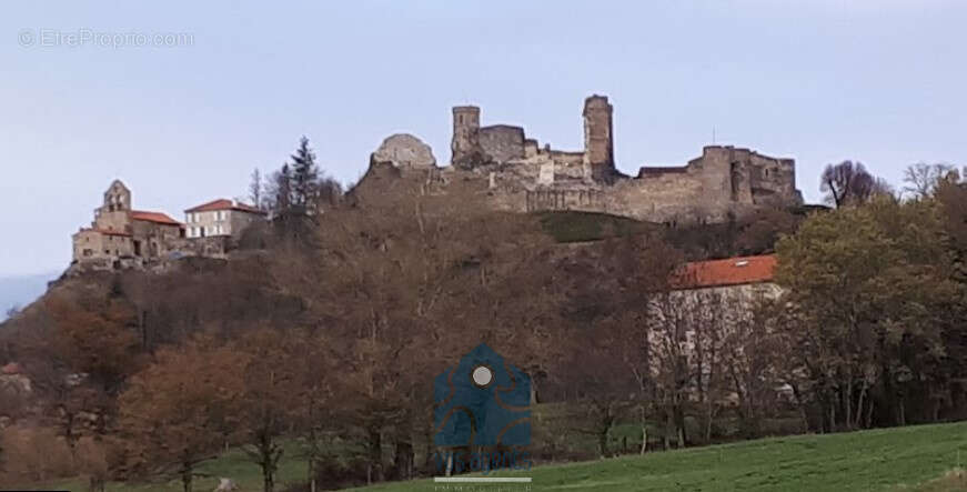 Terrain à MONTMORIN
