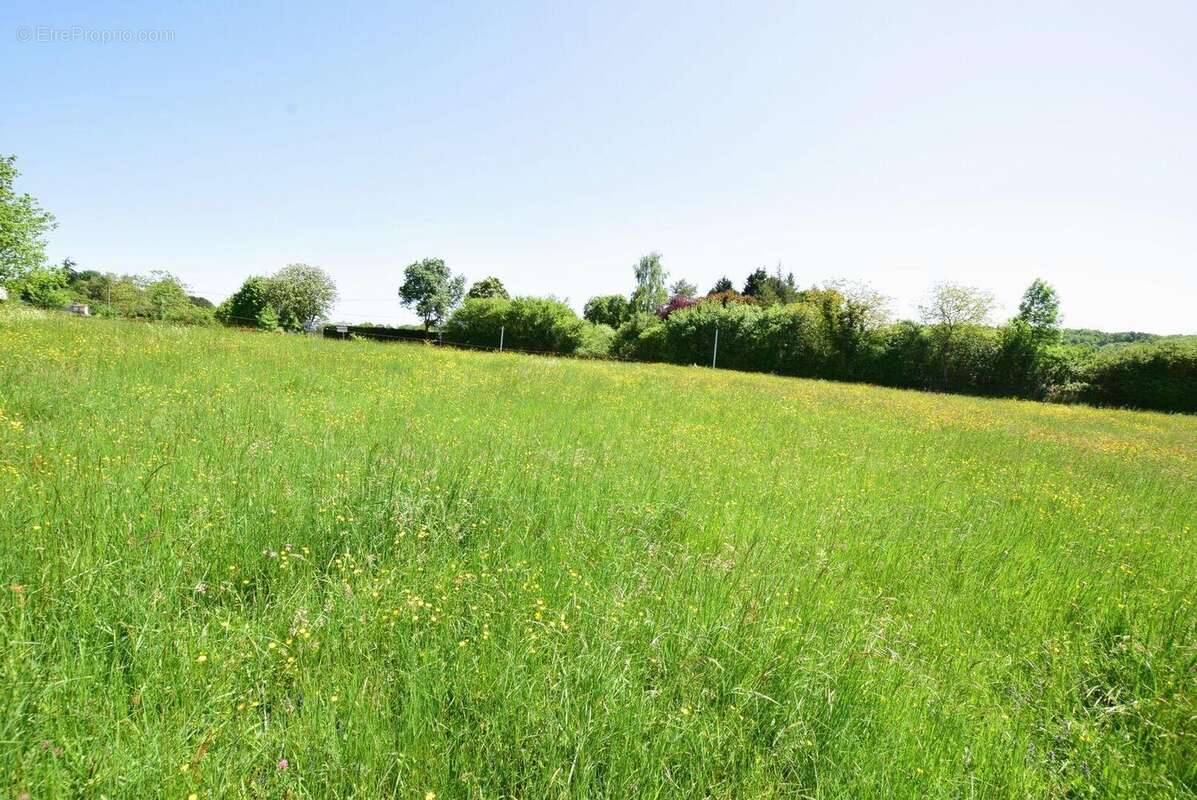 DSC0020 - Terrain à SAINT-MARTORY