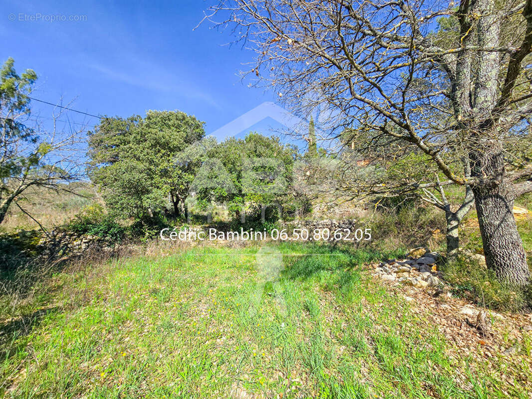 Terrain à SAINT-MAXIMIN-LA-SAINTE-BAUME